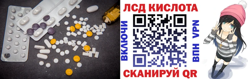 продажа наркотиков  Новоузенск  Лсд 25 экстази кислота 