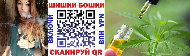дарнет шоп  МЕГА сайт  Шишки марихуана THC 21%  Новоузенск 